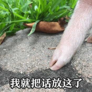 图片为特写镜头，展示一只浅粉色的小猪蹄踩在粗糙的石面上，背景是翠绿的青草和一片棕色的落叶。图片底部配有白色文字“我就把话放这了”，通过可爱的小猪蹄与霸气宣言的反差营造出幽默效果。