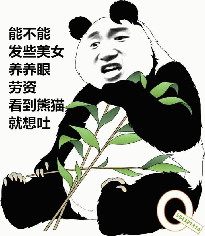 熊猫吐槽：想看美女养养眼，看到熊猫就想吐