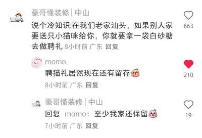 社交媒体对话截图，用户“豪哥懂装修 | 中山”分享汕头地方冷知识：当地若有人赠送小猫，需以一袋白砂糖作为“聘礼”。另一用户“momo”评论感叹该习俗至今留存，原作者回复称自家仍保留此传统，对话中包含🥺和😭表情符号，体现对地方文化的讨论与情感共鸣。