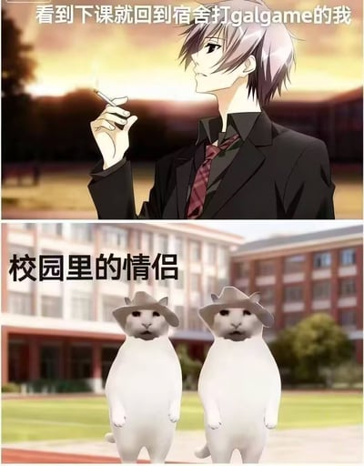 图片为上下两格拼接的动漫风格 meme。上格是银灰色短发的动漫男性角色，身着黑色西装与红色领带，手持香烟，背景是夕阳下的校园，上方文字为“看到下课就回到宿舍打galgame的我”；下格是两只直立站立、戴着帽子的白色猫咪，背景是校园教学楼，文字为“校园里的情侣”。整体通过对比展现了“下课回宿舍玩美少女游戏的自己”与“校园情侣”的场景，带有自嘲和幽默的宅文化气息。