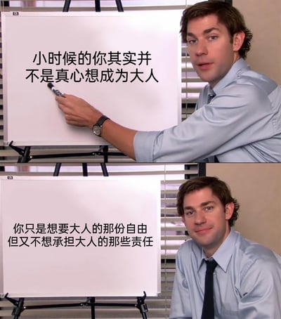 这是一张由美剧《办公室》(美国版)的截图改编而成的上下对比式梗图。上图中，穿着浅蓝色衬衫的男性角色手持马克笔，指向面前的白板，白板上的文字为“小时候的你其实并不是真心想成为大人”，角色神态认真，仿佛在严肃地阐述一个事实；下图中，该角色面带略带了然的微笑看向镜头，白板上的文字揭示了真相：“你只是想要大人的那份自由但又不想承担大人的那些责任”。这组文字精准地戳中了许多人童年时期的真实心态，长大后回望过去，才明白小时候渴望成为大人的核心诉求，是只向往大人能自主决定的自由，却完全没有意识到大人需要承担的诸多责任，引发了大众关于成长、自由与责任的共鸣。