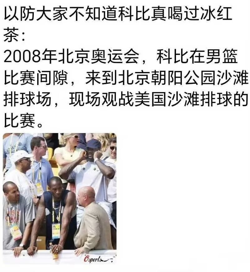 2008年美国奥运男篮代表队