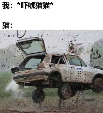 图片上方文字为“我：*吓唬猫猫*”，下方标注“猫：”并配有一张汽车在泥地中剧烈跳跃的照片。汽车后备箱敞开，车身沾满泥浆，周围飞溅着泥土，通过汽车失控般的动态夸张表现猫咪被吓唬后的激烈反应，用越野赛车的狂野姿态比喻宠物受惊时的惊慌失措，充满幽默效果。
