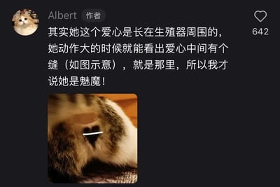 社交媒体用户Albert发布的帖子，声称自家猫咪生殖器周围有爱心形状的标记，动作大时能看到爱心中间有缝，并因此称猫咪为"魅魔"。帖子下方配有一张猫咪臀部的特写照片，并用白色线条标注了所谓的"心形区域"。
