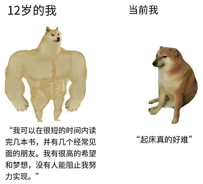 图片分为左右两部分，左侧是12岁的我：一只拥有夸张肌肉线条的柴犬，配文“我可以在很短的时间内读完几本书，并有几个经常见面的朋友。我有很高的希望和梦想，没有人能阻止我努力实现。”；右侧是当前的我：一只垂头丧气坐着的普通柴犬，配文“起床真的好难”。通过柴犬形象和文字的强烈对比，幽默地展现了从年少意气风发到成年后被现实消磨的状态反差，带有自嘲和共鸣感。