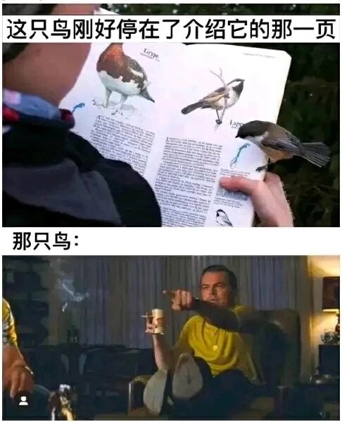 好莱坞往事