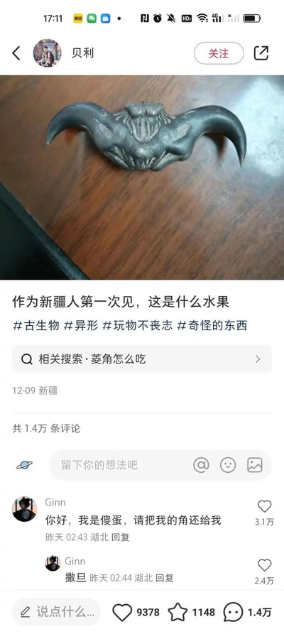 这是一张竖屏格式的社交媒体平台截图，发布者为用户“贝利”，来自新疆，发布时间标注为12-09。发布者展示了一个外形奇特的黑色菱角，它的两个弯曲尖角让它看起来像恶魔的头部，发布者表示自己作为新疆人第一次见到该物品，疑惑它是什么水果，并添加了#古生物 #异形 #玩物不丧志 #奇怪的东西 这些带有调侃意味的标签，平台的相关搜索栏自动关联了“菱角怎么吃”。评论区中，用户“Ginn”发布的两条趣味评论获得大量点赞，第一条“你好，我是傻蛋，请把我的角还给我”收获3.1万赞，第二条“撒旦”收获2.4万赞，用调侃的方式将菱角的外形比作傻蛋、恶魔撒旦的角，和发布者的疑惑形成趣味互动，整体内容充满生活趣味和地域差异带来的新鲜感。