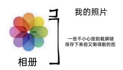 这是一张贴近日常的趣味吐槽梗图，图中左侧是苹果手机相册的标志性彩色花朵图标，并标注“相册”字样；右侧用大括号将标题“我的照片”和下方的说明文字括在一起，说明文字为“一些不小心按到截屏键保存下来但又懒得删的图”。该图精准调侃了当代人手机相册里的普遍状况：名为“我的照片”的文件夹里，并非都是精心拍摄的个人照片，反而堆满了误操作截屏产生的无用图片，用户又因为懒得清理而一直留存，用幽默的方式引发广大手机用户的共鸣。