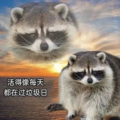 这是一张经过P图改编的静态图文混排梗图，背景是海上日落时分的天空与海面，暖色调的天空与海面和画面中浣熊的低落神情形成反差。画面包含两只浣熊：一只位于画面下方，姿态慵懒无力，眼神沮丧，满脸疲惫；另一只浣熊的头部被合成在天空区域，同样是低落的神情。图中配有白色文字“活得像每天都在过垃圾日”，通过浣熊的丧系神态，将动物情绪与人的负面生活感受绑定，以自嘲的方式表达对生活疲惫、日常糟糕的沮丧情绪，没有双关、谐音梗等特殊表意，仅为直白的情绪宣泄。