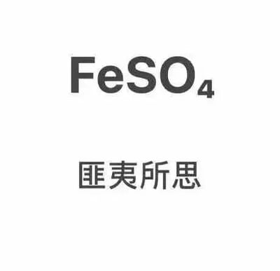 这是一张纯文字的静态图，采用顶配底文的排版形式，上方标注化学分子式“FeSO₄”（对应化学物质硫酸亚铁），下方配有中文成语“匪夷所思”。图中利用“FeSO₄”的发音与“匪夷所思”的发音相近的特点，打造了谐音梗，将化学知识和中文成语趣味结合，产生出巧妙又搞笑的效果，让人感受到知识类趣味内容的创意。