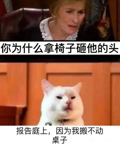 图片为上下两格拼接的搞笑梗图。上格是一位表情严肃的女性（疑似法官），配文“你为什么拿椅子砸他的头”；下格是一只表情淡定的白猫，配文“报告庭上，因为我搬不动桌子”。通过猫用“搬不动桌子所以用椅子”的无厘头逻辑制造幽默效果，反差感十足。