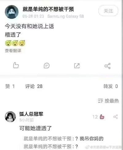 这是一张微博平台的用户动态截图，用户“就是单纯的不想被干预”在06-28 01:23发布动态，内容为“今天没有和她说上话 糟透了”，并附带三个委屈的表情，表达自己没能和在意的女生交流的低落情绪。评论区用户“弧人总冠军”利用谐音梗，将原动态中的“糟透了”曲解为“遭透了”，回复“可能她遭透了”，暗指女生可能正处于糟糕的状态，这个玩梗的回复激怒了原博主，原博主直接回复“我吊你妈的”来表达自己的愤怒，形成了搞笑又带点火气的互动场景。