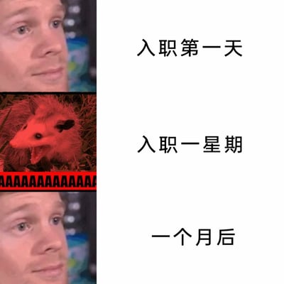 这是一张三格结构的多图拼接梗图，精准展现了职场新人入职不同阶段的心态变化：第一格对应入职第一天，搭配面带微笑、眼神满是期待的男性真人图，传递出新人初入职场时的憧憬与干劲；第二格对应入职一星期，采用红色滤镜下张嘴尖叫的负鼠图，下方配有一串“AAAAAAAAAAAAAA”的文字，生动表现出新人被工作压力冲击后濒临崩溃的抓狂状态；第三格对应入职一个月后，复用了与第一天相同的男性真人图，但眼神已失去最初的期待，只剩麻木，调侃了职场人在压力下从期待到崩溃再到麻木适应的普遍心态转变，极易引发职场群体的共鸣。