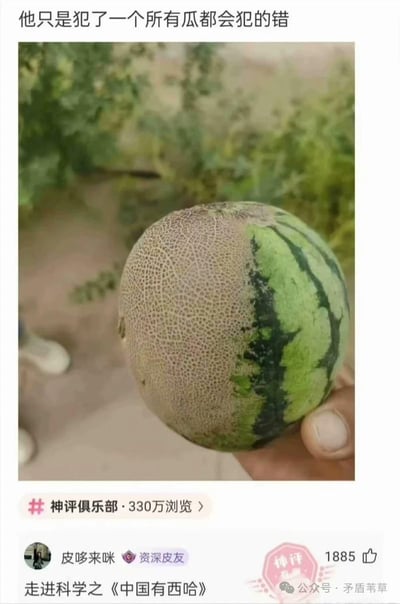 这张图展示了一个外形极具反差感的奇特瓜类，一半是哈密瓜标志性的网状粗糙表皮，另一半是西瓜的绿黑条纹外皮，仿佛是西瓜和哈密瓜的“混血儿”。图上方配文“他只是犯了一个所有瓜都会犯的错”，用调侃的语气玩梗；下方神评“走进科学之《中国有西哈》”是谐音梗，将“嘻哈”谐音为“西（西瓜）哈（哈密瓜）”，结合瓜的特点制造出搞笑效果。该内容是社交媒体截图，来自“神评俱乐部”，已有330万浏览量，属于网友分享的猎奇搞笑类网络梗图。
