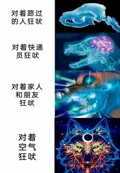 这是一张左右对比的图文混排梗图，左侧从上至下依次列出狗狗的四种狂吠场景：“对着路过的人狂吠”“对着快递员狂吠”“对着家人和朋友狂吠”“对着空气狂吠”；右侧对应四幅视觉效果逐步升级的AI生成犬类图像，从最初简单的透明轮廓狼头，到显露骨骼并带有脑部特效的形态，再到眼部发射激光的凶悍狼形，最后是被星空特效包裹、造型华丽神秘的终极狼头。图中用视觉上的“变强”反差，调侃狗狗不分对象乱吠的迷惑行为，制造出搞笑的荒诞感，仿佛狗狗对着空气狂吠时是在动用“终极力量”。