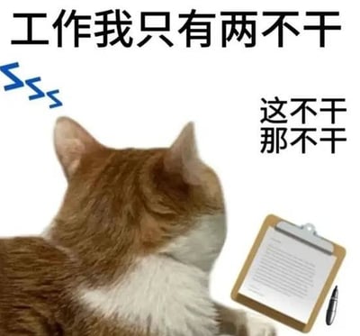 这是一张面向打工人的搞笑吐槽表情包，主体是一只背对镜头的橘白猫咪，左上方的蓝色Zzz标识表明猫咪正在睡觉，猫咪身侧放置着带有工作文档的剪贴板和钢笔；配文为“工作我只有两不干 这不干 那不干”，调侃了当代打工人摆烂不想工作，拒绝做自己不想做的工作的心态，精准戳中很多职场人的状态。