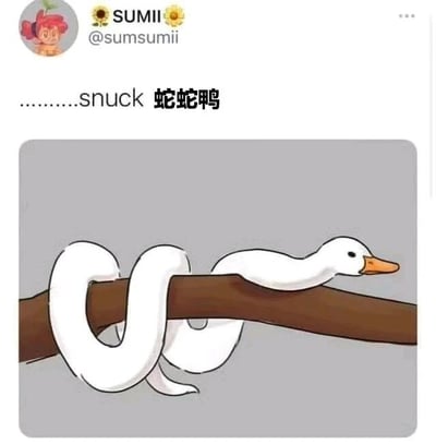 这是一张社交媒体风格的图片，顶部显示用户头像（卡通红发女孩）、用户名“SUMII”及账号“@sumsumii”。图片主体是一幅卡通插画，描绘了一只白色的蛇身鸭头生物，身体缠绕在棕色树枝上，鸭嘴为橙色，眼睛黑色。上方配有文字“........snuck 蛇蛇鸭”，利用“snuck”的发音与中文“蛇鸭”谐音，创造出“蛇蛇鸭”这一趣味杂交动物名称。
