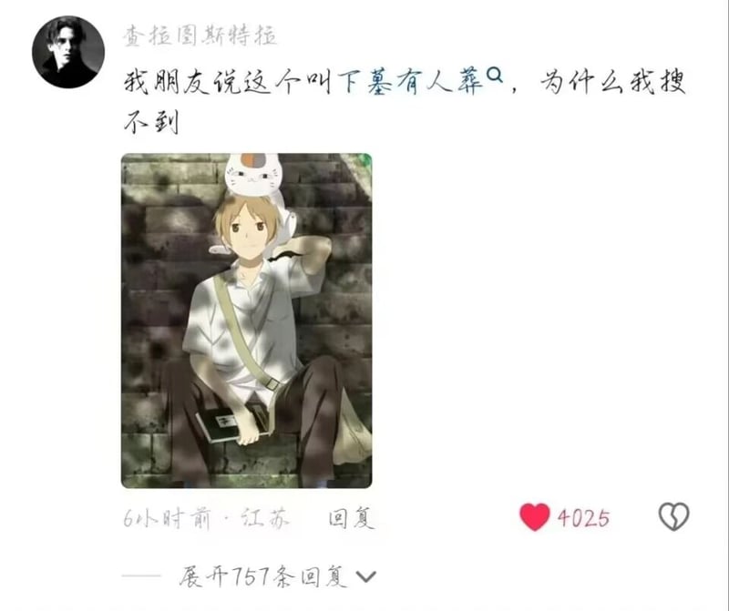 猫咪老师（斑）