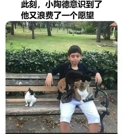 图片中一名男孩坐在公园的木质长椅上，周围环绕着多只猫咪：腿上抱着三只不同毛色的猫，身旁的长椅上还卧着一只黑白相间的小猫。男孩穿着黑色上衣和白色短裤，表情略显无奈和懊悔，身体微微前倾，双手搭在长椅两侧。图片上方配有文字“此刻，小陶德意识到了他又浪费了一个愿望”，通过幽默的方式暗示男孩可能向某种许愿机制（如神灯、流星等）许下了与猫咪相关的愿望，但结果并非预期，反而让他陷入被猫咪“包围”的窘境，从而产生“浪费愿望”的哭笑不得之感。