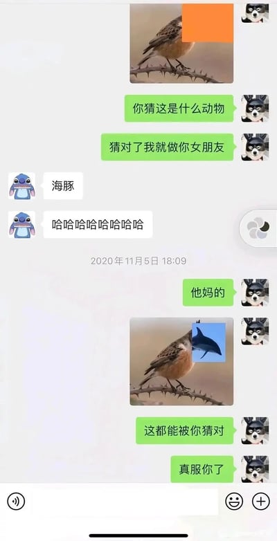 这是一张2020年11月5日的微信聊天记录截图，对话双方分别使用哈士奇头像和史迪奇头像。使用哈士奇头像的女生先发了一张头部被橙色块遮挡的小鸟图片，以“猜对了我就做你女朋友”为条件发起猜动物互动；史迪奇头像的男生故意给出和图片完全不相关的“海豚”答案并大笑，女生随后将图片中的鸟头P成海豚头，假装男生猜对，用“这都能被你猜对”“真服你了”等话语配合完成了这场趣味反套路互动，整体对话充满搞笑的反差感。