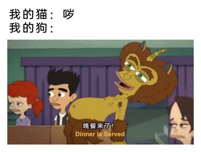 这是一张图文混排的搞笑梗图，核心内容是对比猫狗对待晚餐的截然不同反应。上方文字部分用“我的猫：哕”表现猫咪看到晚餐时的嫌弃、反胃态度；下方截取自动画《大嘴巴》的画面中，荷尔蒙怪兽角色亢奋地大喊“晚餐来了！Dinner Is Served”，姿态夸张热情，以此对应狗狗看到晚餐时的激动状态，而周围的卡通角色则一脸嫌弃、无精打采，进一步反衬出该角色的亢奋，通过强烈的反差感制造幽默效果，生动调侃了猫狗两种宠物在面对食物时的性格与行为差异。