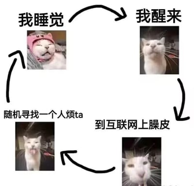这是一张四格循环梗图，用四只不同表情的白猫照片串联成"摆烂日常循环"：左上角戴粉色帽子的猫咪闭眼酣睡配文"我睡觉"，右上角睁眼呆滞猫咪配文"我醒来"，右下角歪头吐舌猫咪配文"到互联网上臊皮"，左下角咧嘴挑衅猫咪配文"随机寻找一个人烦ta"，四图通过黑色箭头形成闭环。猫咪表情从慵懒到迷惑再到顽皮，精准戳中当代年轻人"睡醒就上网发疯"的摆烂心态，用四川方言"臊皮"（意为捣乱）增加地域幽默感。