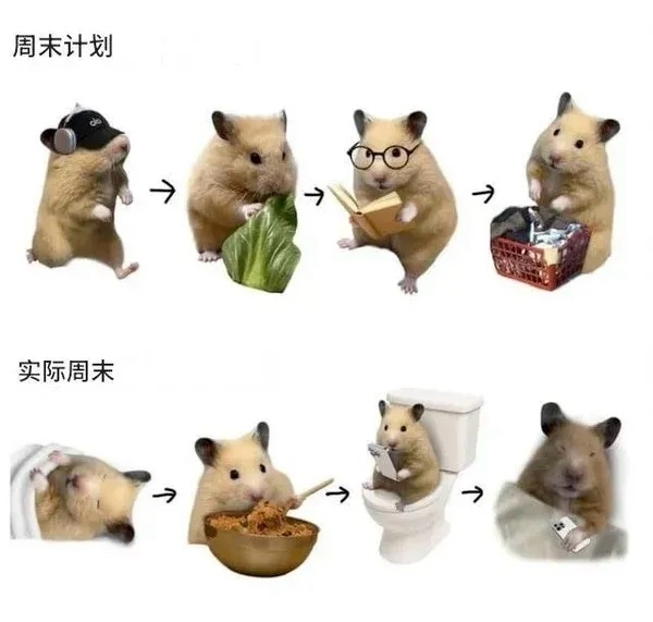 网络流行仓鼠表情包