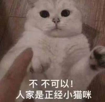图片中是一只白色猫咪，面部表情略显严肃，圆溜溜的大眼睛直视前方，一只人类手指正指向其胸部位置。猫咪下方配有文字“不 不可以！人家是正经小猫咪”，将猫咪拟人化，营造出一种可爱又略带傲娇的拒绝场景，整体风格轻松幽默，适合作为萌宠类表情包使用。