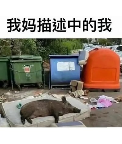 这张梗图上方是大字写着“我妈描述中的我”，下方是一张现实照片：一只野猪无精打采地躺在丢弃床垫上，周围全是垃圾桶和废弃杂物。整个画面充满了‘颓废’与‘自嘲’氛围，通过夸张手法形象地展示了父母对自己“懒、丧、不成器”之类的传统刻板印象。画面利用野猪瘫睡在垃圾床上的形象，表达‘在妈妈嘴里自己像个躺平的废物’那种常见吐槽，带点黑色幽默和共鸣感。没有明显双关或谐音，但用动物流浪形象映射出“失败/颓废”。