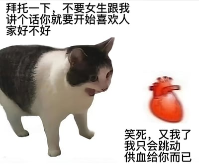 图片左侧是一只黑白相间的奶牛猫，表情略带无奈，正转头看向右侧；右侧有一个红色的心脏图标。图片上方文字为猫咪的“拜托”：“拜托一下，不要女生跟我讲个话你就要开始喜欢人家好不好”，下方右侧文字是心脏的“回应”：“笑死，又我了 我只会跳动供血给你而已”。整体通过拟人化的猫咪和心脏对话，幽默调侃了社交中可能存在的“误把友好当喜欢”的场景。