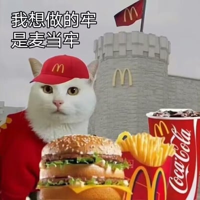 这是一张趣味P图梗图，画面主体是一只穿着红色麦当劳制服、戴着麦当劳红色帽子的白色猫咪，猫咪表情冷漠，直视镜头。背景是一座被修改成麦当劳标识的城堡，城堡顶部插着麦当劳旗帜，营造出“牢房”的视觉效果。前景摆放着麦当劳的经典餐品：巨无霸汉堡、薯条，还有印有麦当劳标识的可口可乐杯。图片左上角配有文字“我想做的牢是麦当牢”，玩了谐音梗，将“麦当劳”谐音为“麦当牢”，用“坐牢”的趣味说法，表达出对麦当劳快餐的极度喜爱，仿佛想一直待在充满麦当劳美食的“牢房”里享用美食，整体风格搞笑又充满对美食的向往。