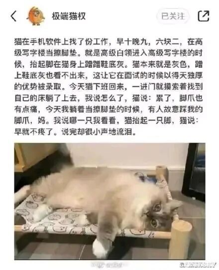 写字楼擦脚垫