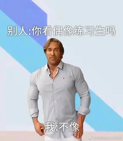 这张梗图通过对比偶像练习生和肌肉男的形象差异，释放出强烈的反差幽默感。画面里面的人物身材极度壮硕，与常见的青春偶像练习生纤细形象完全不同。配文“别人：你看偶像练习生吗 我：不像”表达的是自嘲，意思是自己和偶像练习生一点都不像，用于调侃自己和流行审美的差异。整体风格轻松搞笑，适合社交网络自黑。