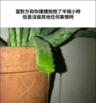 这是一张顶配底文的趣味梗图，上方配有文字：“当对方和你搂搂抱抱了半个小时但是没做其他任何事情时”，下方是一盆芦荟盆栽，其中一片芦荟叶片软塌塌地耷拉在花盆边缘，呈现出萎靡的状态。这张图用芦荟叶片发软的状态，隐喻在和他人进行长时间亲密搂抱后，却没有进一步发展时，内心那种失落、空虚又尴尬的情绪，形象地将抽象的心情具象化，十分搞笑贴切。