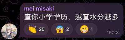 这是一张社交媒体评论截图，显示用户“mei misaki”发布的吐槽内容：“查你小学学历，越查水分越多”。评论下方有点赞（25个）、震惊（2个）和大笑（1个）三种反应emoji，时间戳为19:23。用户头像为一个带有兔耳的动漫风格角色，整体氛围幽默调侃，用于朋友间或网络上对学历水分多的玩笑式吐槽。
