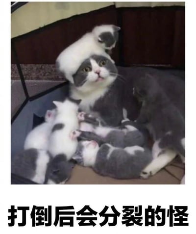 一张幽默的猫咪照片，画面中有一只灰白相间的母猫，周围环绕着多只小猫，其中一只小猫甚至趴在母猫的头上。图片下方配有文字“打倒后会分裂的怪”，将母猫和众多小猫的场景幽默地比喻为游戏中被打倒后会分裂成多个小怪物的敌人，形成有趣的反差萌效果。
