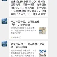 这是一张由三段吐槽文字组成的纯文字梗图，从三个不同角度劝退意向养猫人群：第一段讲述自己养猫后，猫生病费心费力照顾，却反被猫记恨的糟心经历；第二段以“新手养猫会让你的世界只剩猫，失去自我”为点进行劝退；第三段直白表示一般人不要养猫，详细列举养猫会影响情绪、工作、生活，让人失去个人空间的真实痛点。整体用接地气的口语化吐槽，精准戳中养猫过程中的诸多不易，用来调侃养猫的艰辛，劝退想要养猫的人。