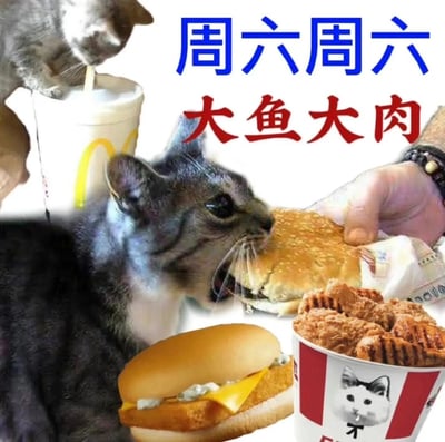 这是一张经过P图改编的趣味图文混排图片，画面中融入了两只猫咪与麦当劳、肯德基的快餐元素：一只猫咪惬意地用吸管喝着麦当劳饮料杯里的饮品，另一只猫咪则急切地大张嘴巴啃食被人手递来的汉堡，画面下方还摆放着一个汉堡和印有猫咪头像的类肯德基炸鸡桶。图片上方配有蓝色的“周六周六”与红色的“大鱼大肉”字样，以猫咪享用丰盛快餐的生动场景，传递出人们在周末周六想要放松身心、尽情享用美食来犒劳自己的心情，整体氛围轻松欢快，充满生活趣味。