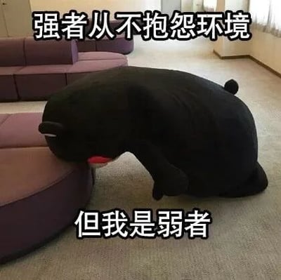 这是一张顶配底文的静态表情素材图，画面主体是日本熊本县的官方吉祥物熊本熊的黑色玩偶，它将头部靠在紫色沙发的扶手上，身体蜷缩，姿态显得十分沮丧、无力。图的上方配有文字“强者从不抱怨环境”，下方配有文字“但我是弱者”，通过前后反差的文字，以自嘲的口吻表达出不想勉强自己、想要摆烂的消极情绪，精准贴合当下不少人在面对生活或工作压力时的心态，适合在聊天或社交平台中用来抒发此类情绪。
