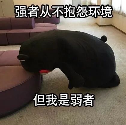 日本熊本县官方吉祥物
