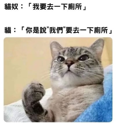 图片上方为两行对话文字，下方是一只灰白色虎斑猫的特写照片。猫奴说“我要去一下厕所”，猫则纠正为“你是说‘我们’要去一下厕所”，幽默展现了猫咪在主人生活中的“主导地位”和黏人特性。猫咪抬头注视镜头，一只前爪微微抬起，表情专注又带点小傲娇，画面温馨又搞笑。