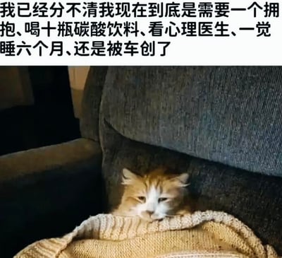 这是一张顶配底文的静态梗图，上方是一段充满情绪的文字：“我已经分不清我现在到底是需要一个拥抱、喝十瓶碳酸饮料、看心理医生、一觉睡六个月、还是被车创了”，下方是一只橘白相间的真实猫咪，它裹着米白色针织毯子，瘫在深灰色沙发里，眼神涣散、表情倦怠，整只猫呈现出无精打采、疲惫不堪的状态。
其中“被车创了”是谐音梗，是“被车撞了”的谐音，属于网络上的夸张搞笑说法，用来表达想摆烂、破罐破摔的极端情绪，整体图文结合精准传递了当代人在生活压力下精神崩溃、无力又迷茫的心态，容易引发年轻人的情绪共鸣。