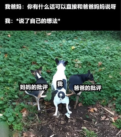 图片上方有两行文字："我爸妈：你有什么话可以直接和爸爸妈妈说呀"和"我：*说了自己的想法*"。下方是三只狗并排站立的照片，中间的狗标注为"我"，左边的狗标注为"妈妈的批评"，右边的狗标注为"爸爸的批评"。三只狗都背对着镜头，似乎在同时小便。这个梗图通过幽默的方式表现了一种常见的家庭场景：父母说希望孩子有话直说，但当孩子真的表达自己的想法后，却遭到父母双方的批评。