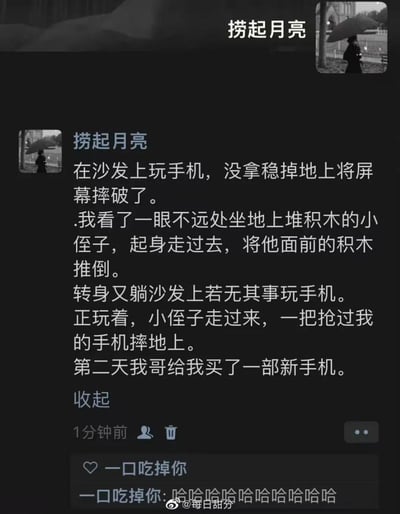 这是一则充满家庭趣味的搞笑段子：博主自己不慎将手机屏幕摔破后，看到正在坐地上堆积木的小侄子，故意走过去推倒他的积木，随后若无其事回到沙发继续玩手机。小侄子模仿博主的行为，抢过手机摔在地上。没想到第二天博主的哥哥给博主买了一部新手机。段子利用小孩的模仿心理制造出滑稽的反转效果，没有双关或谐音梗，是轻松搞笑的生活类内容。