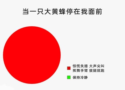 这是一张趣味图文饼图，图片顶部配有标题“当一只大黄蜂停在我面前”，左侧是一个完全由红色填充的圆形饼图，右侧设置了两种反应的图例：红色对应“惊慌失措 大声尖叫 挥舞手臂 拔腿就跑”的慌乱反应，绿色对应“保持冷静”的理智反应。但饼图中没有绿色部分，以此夸张地表现绝大多数人在突然面对大黄蜂这类具有威胁感的昆虫时，都会本能地陷入慌乱，完全无法维持冷静状态，用幽默的方式贴合了人们遇到此类突发小状况时的真实本能反应。