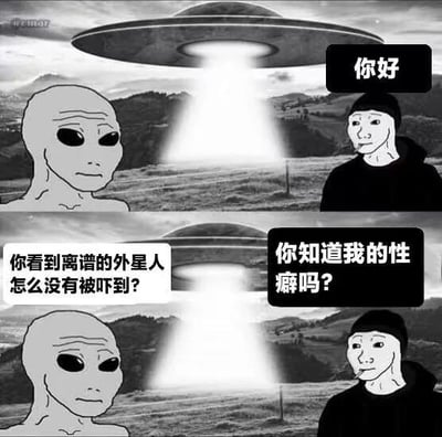这是一张黑白连环漫画，分为上下两格。上格中，左侧是经典灰色外星人（大眼、光头），背景有发光的UFO和乡村风景，右侧连帽衫人物说“你好”。下格中，外星人困惑地问“你看到离谱的外星人怎么没有被吓到？”，连帽衫人物淡定回应“你知道我的性癖吗？”。通过外星人预期人类会害怕，却得到“性癖”反转回答制造幽默效果。