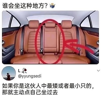 这是一张来自X（原Twitter）的社交媒体截图，图中展示了汽车后排中间的座位，顶部配文发出灵魂疑问“谁会坐这种地方？🤷‍♂️”，用户@yyungsedi则以调侃的语气回复，称身材最矮小的人应该主动坐这个位置。该内容用幽默的方式，调侃了乘车时后排中间座位因空间局促、体验感差而成为“尴尬位置”，以及群体乘车时默认由小个子坐这里的社交潜规则，是基于日常乘车场景的趣味社交梗。