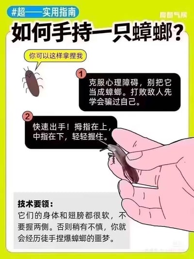 这是一张由局部气候出品的搞笑实用指南类图文，采用卡通风格呈现。图中用拟人化的卡通蟑螂引导，分两步讲解手持蟑螂的方法：第一步要克服心理障碍，自我暗示它不是蟑螂；第二步需快速出手，用拇指在上、中指在下的姿势轻轻握住蟑螂。还补充了技术要领，提醒蟑螂身体和翅膀很软，不要捏两侧，否则会捏爆蟑螂，整体风格幽默无厘头，以趣味化的方式讲解冷门的生活小技巧，适合用来玩梗或分享搞笑内容。