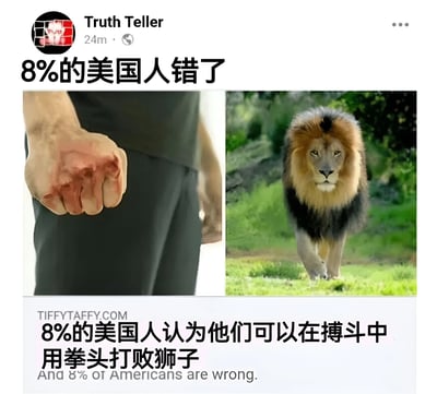 这张梗图以对比形式呈现了一个有趣的统计现象：左侧是一只紧握的人类拳头特写，右侧是一头威风凛凛的雄狮在草地上行走。上方文字"8%的美国人错了"与下方解释"8%的美国人认为他们可以在搏斗中用拳头打败狮子"形成呼应，通过强烈的视觉反差凸显了这部分人群认知的荒谬性。