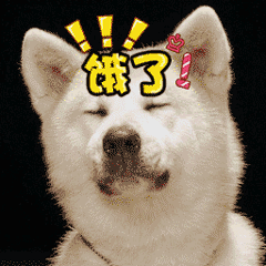 饿到吐舌头的狗狗表情包